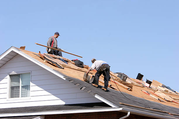 Best Metal Roofing Installation  in Des Peres, MO
